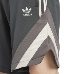 Hombre Adidas España, S.A.U Pantalones*Pantalón Corto Hombre adidas Originals LFSTLR Gris 24/25