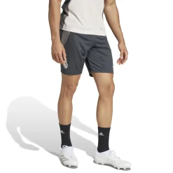 Hombre Adidas España, S.A.U Pantalones*Pantalón Corto Pro Hombre adidas Entrenamiento UCL Gris 24/25