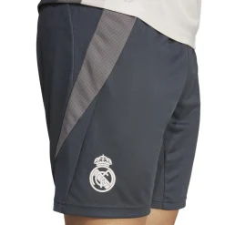 Hombre Adidas España, S.A.U Pantalones*Pantalón Corto Pro Hombre adidas Entrenamiento UCL Gris 24/25